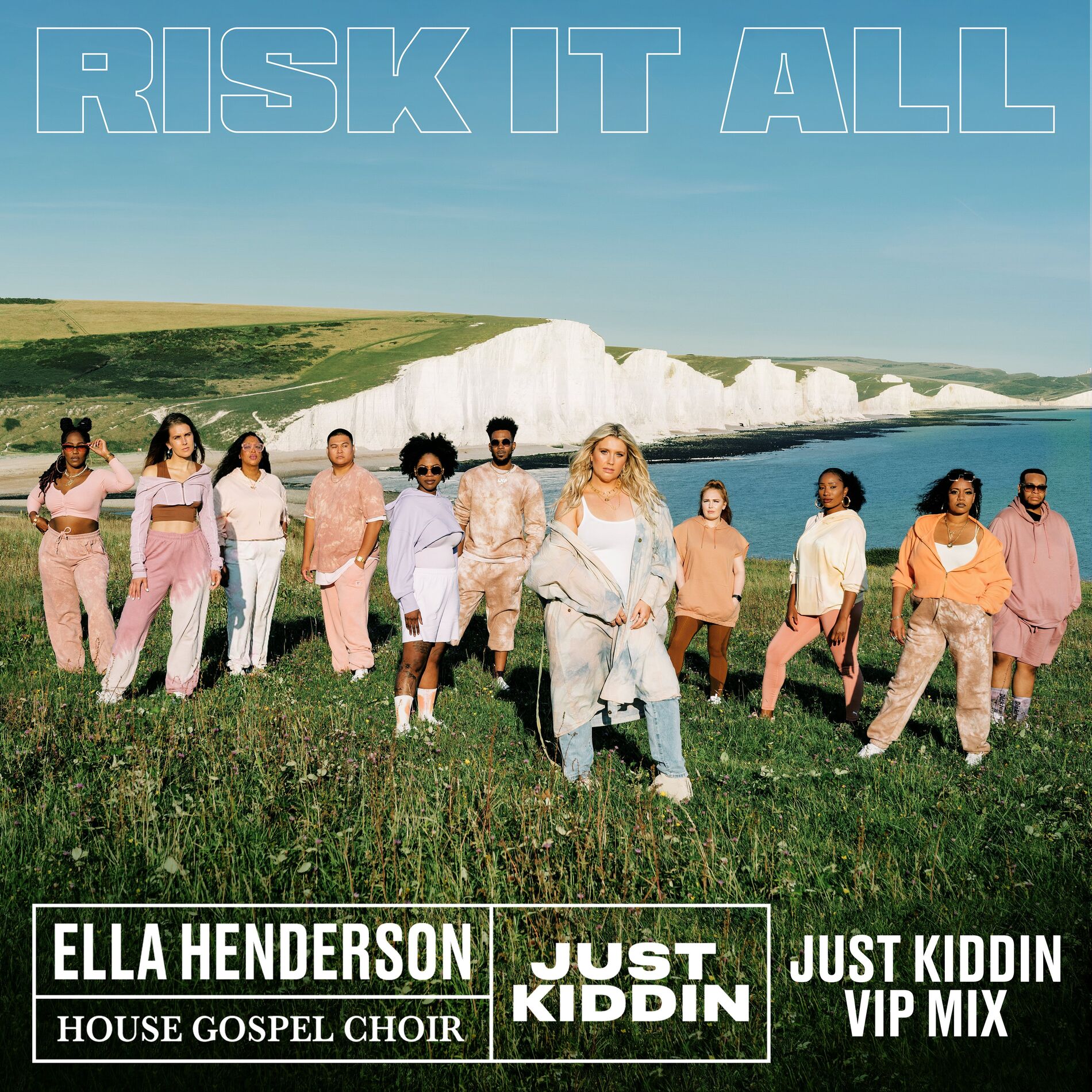 Album cover of Risk It All