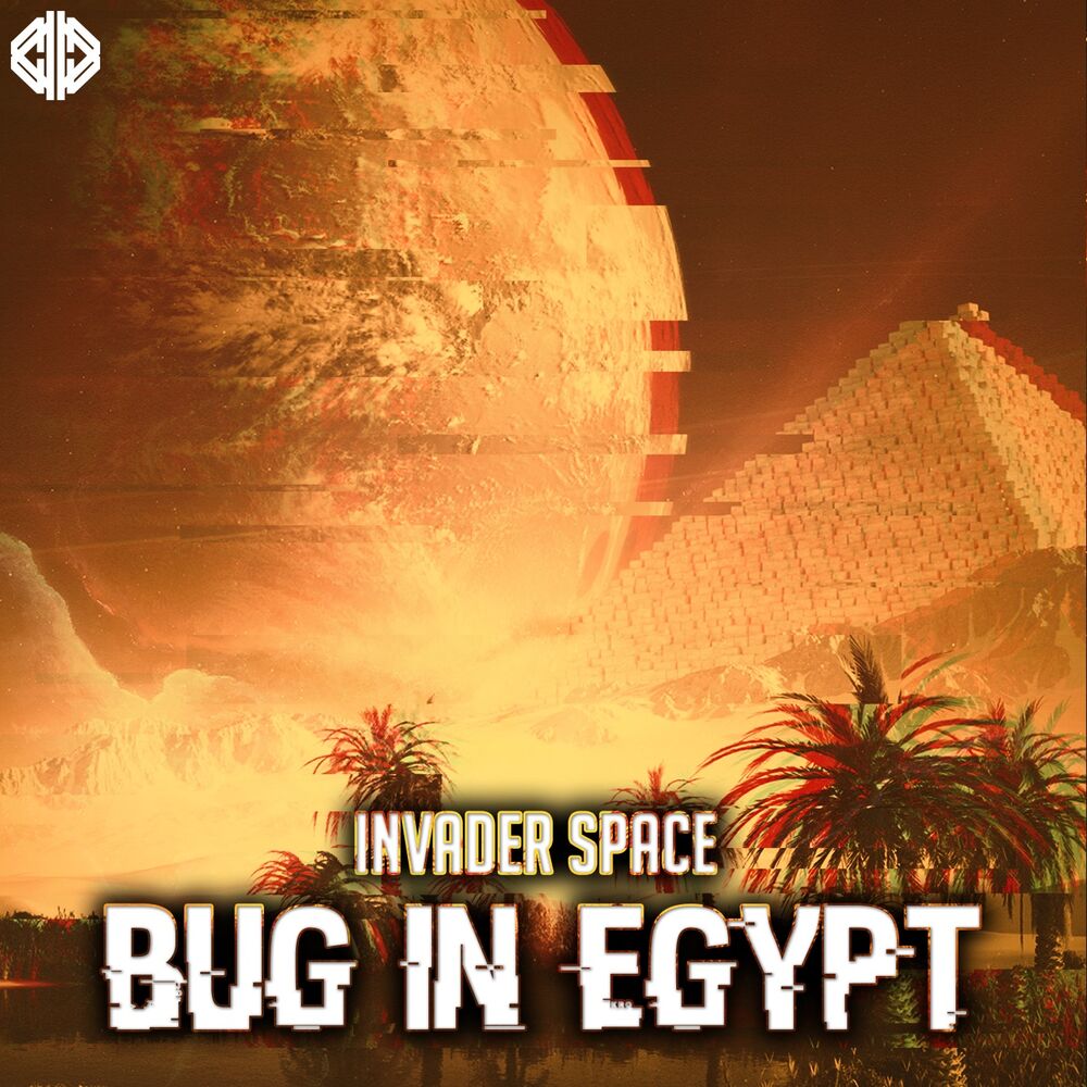 Picture of Bug in Egypt