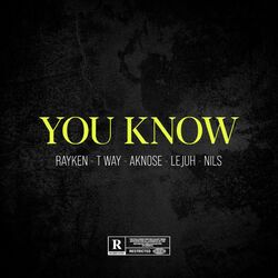 You Know (feat. Rayken, T-Way, Aknose, Le Juh & Nils)