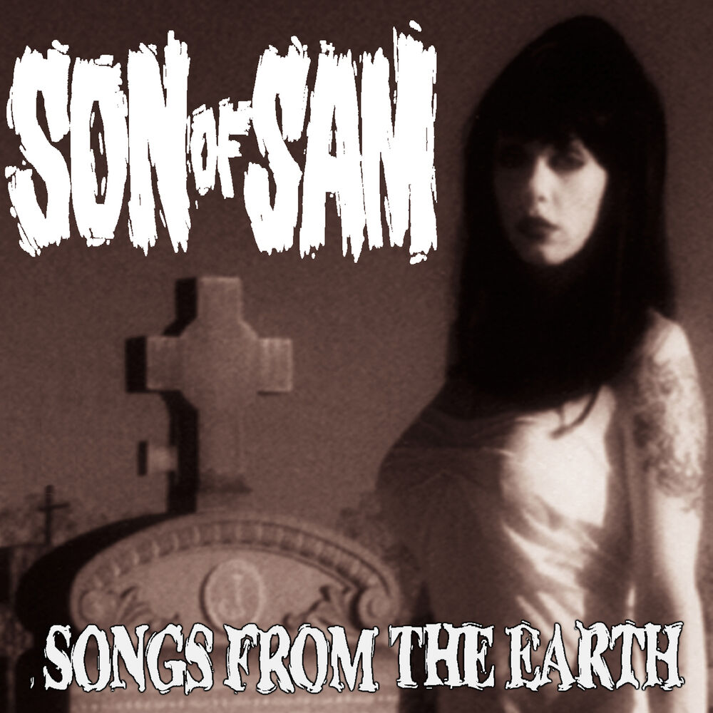Picture of Songs From The Earth