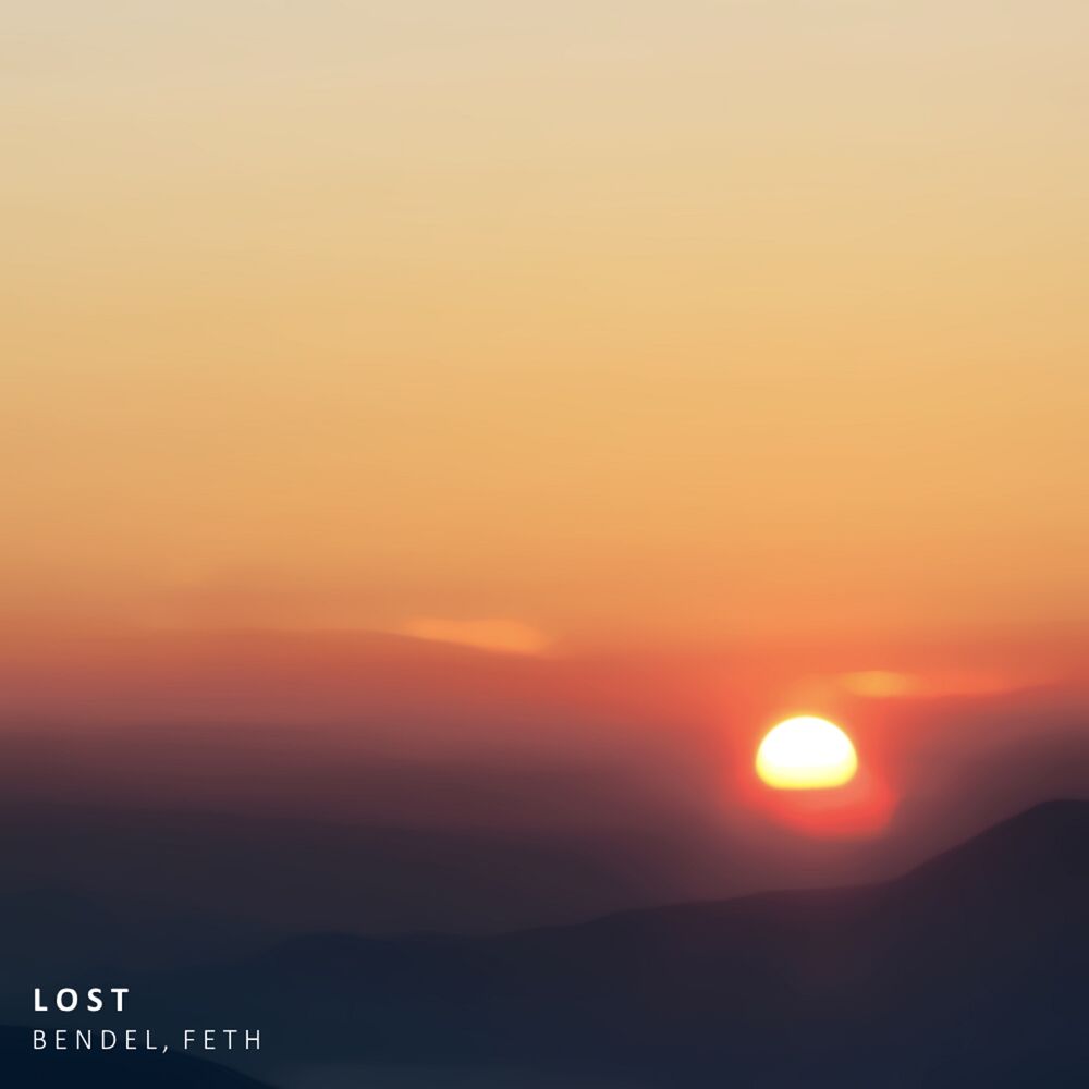 Picture of Lost