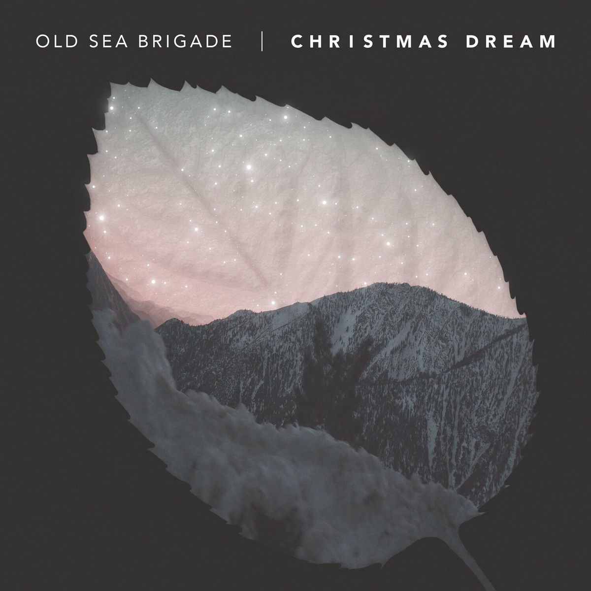 Album cover of Christmas Dream