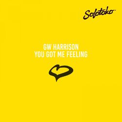 Cover of You Got Me Feeling