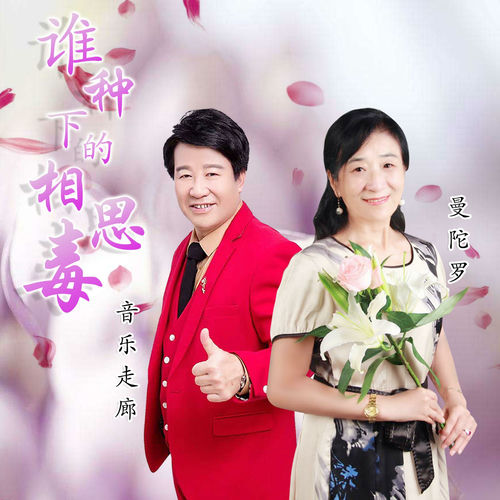 谁种下的相思毒