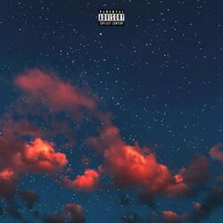 Cover of Vibes