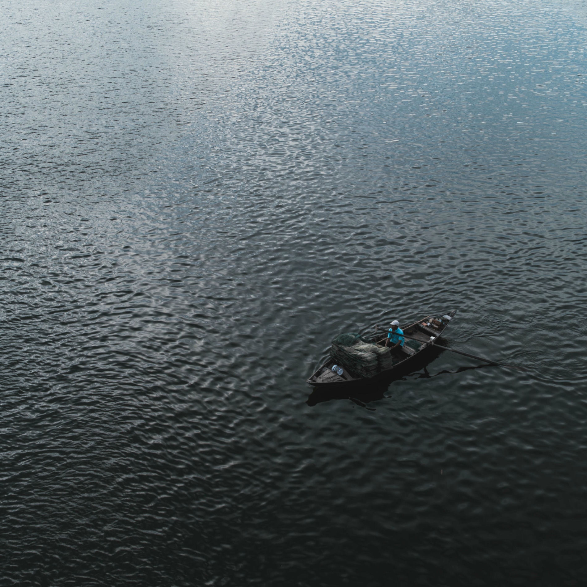 Album cover of Daylight Bleeding