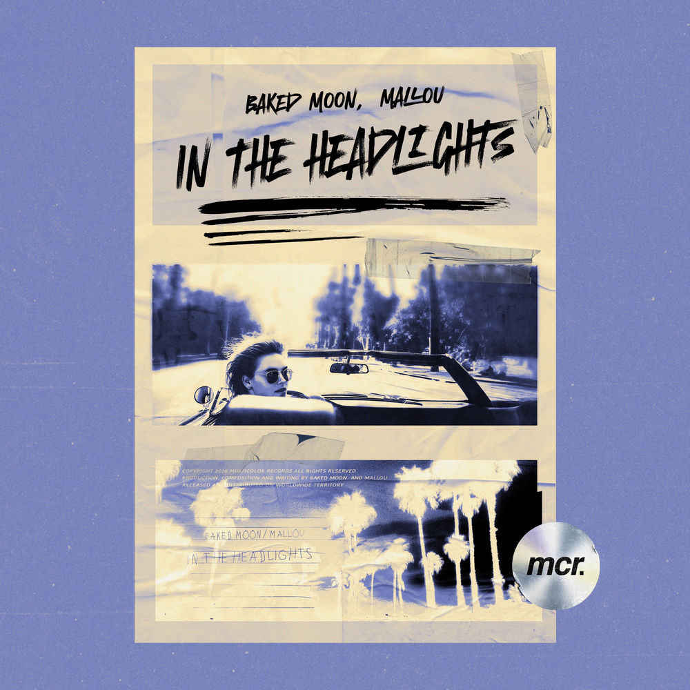 In The Headlights