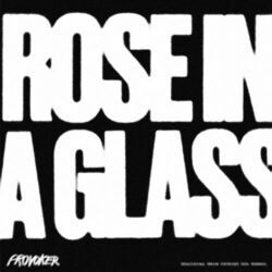 Cover of Rose In A Glass