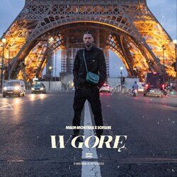 Cover of W Gore