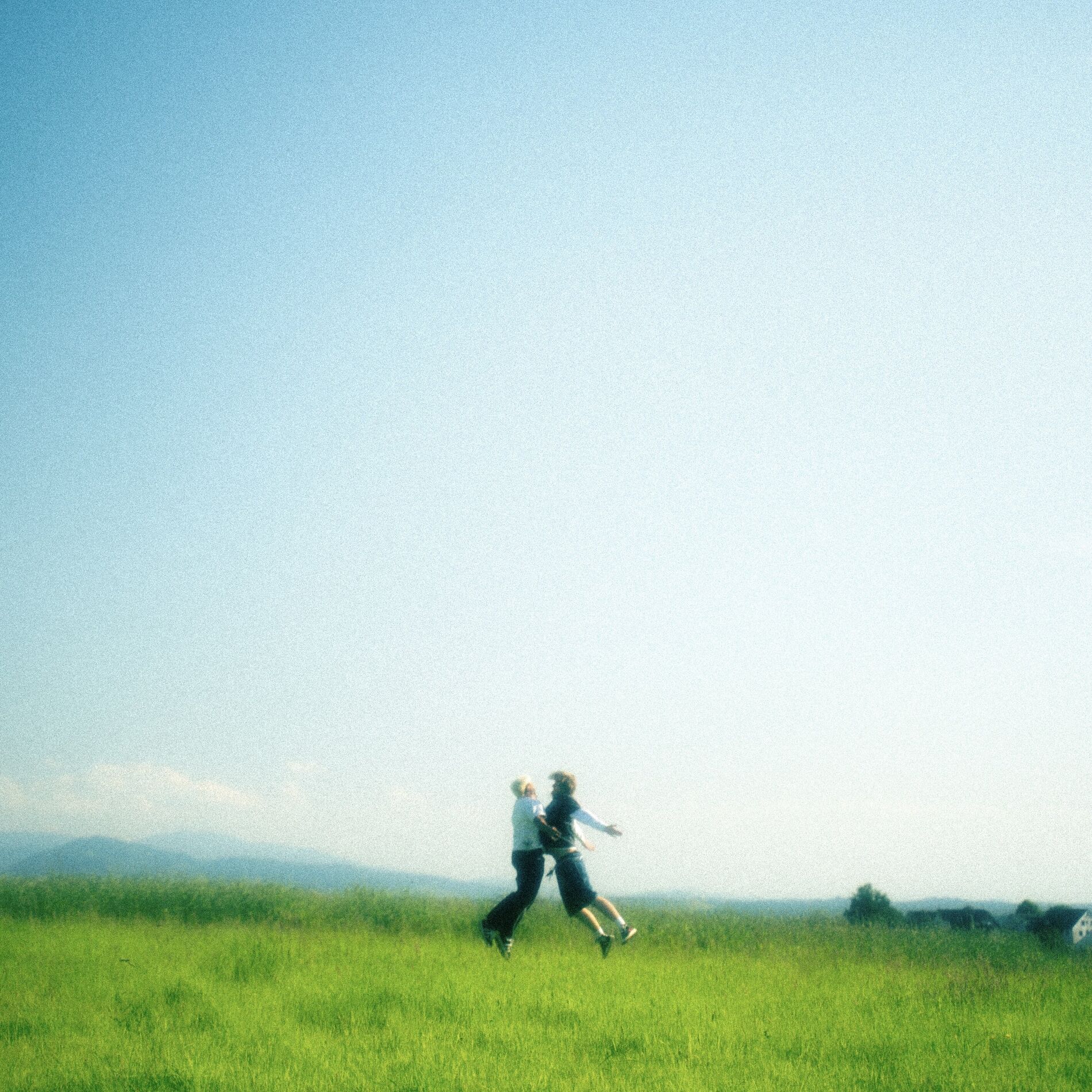 Album cover of Herz