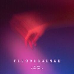 Cover of Fluorescence