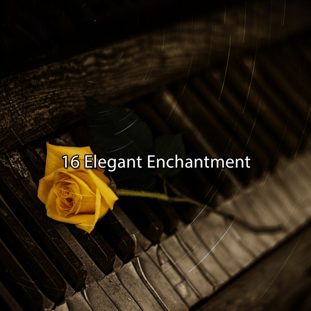 Picture of 16 Elegant Enchantment