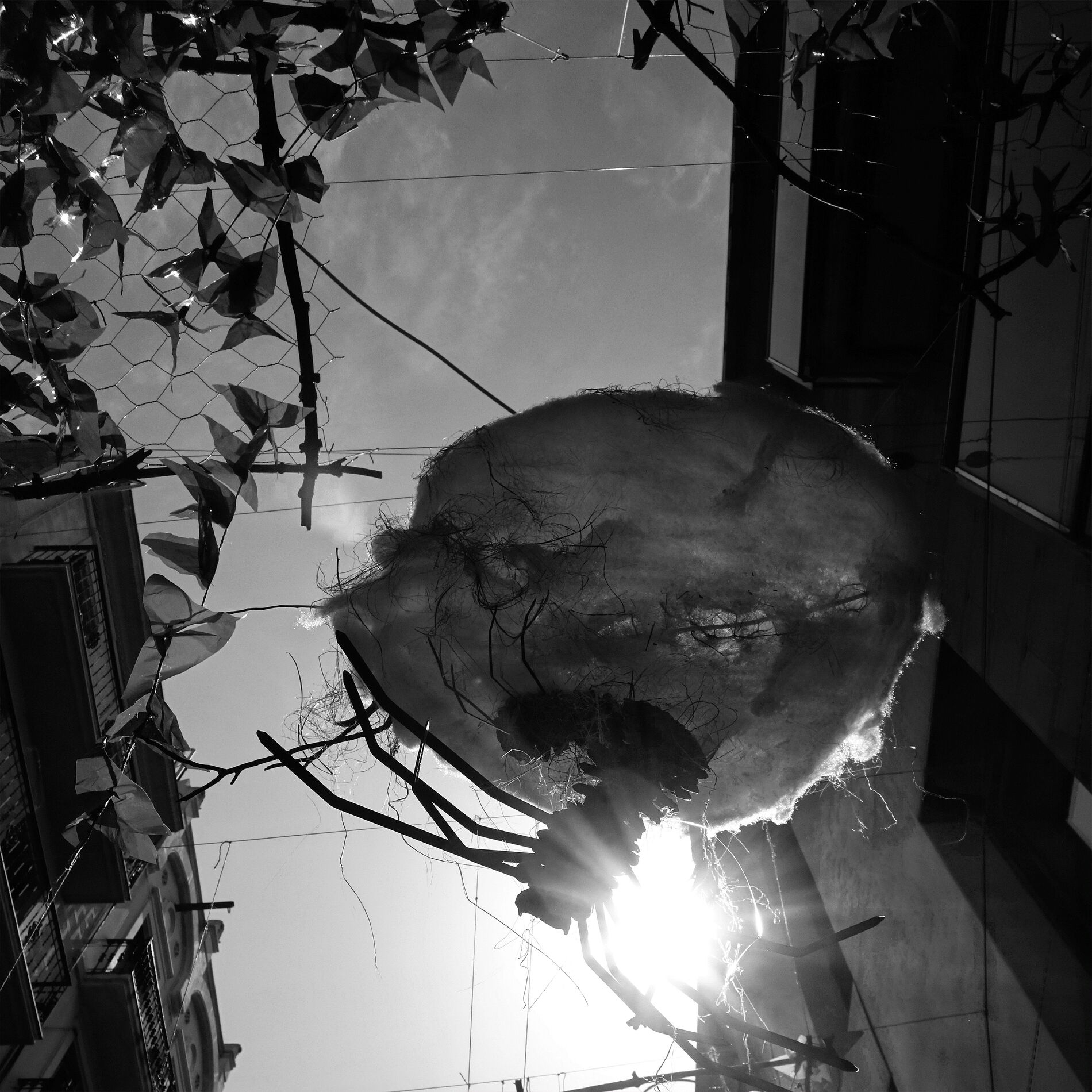 Album cover of Before I Let The Sunshine Rot