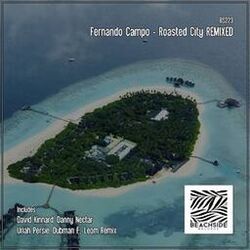 Cover of Roasted City REMIXED