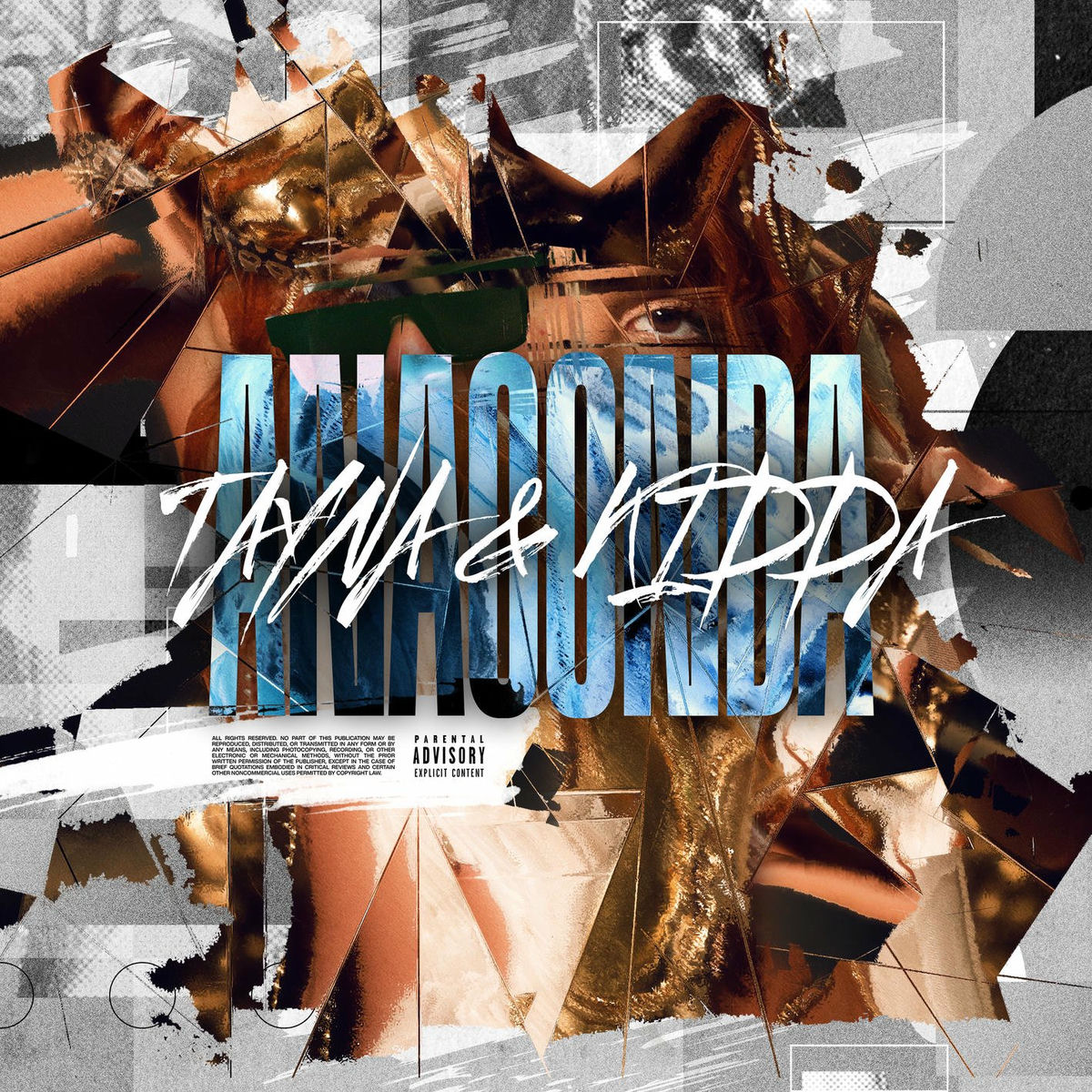 Album cover of Anaconda