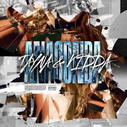Cover of Anaconda