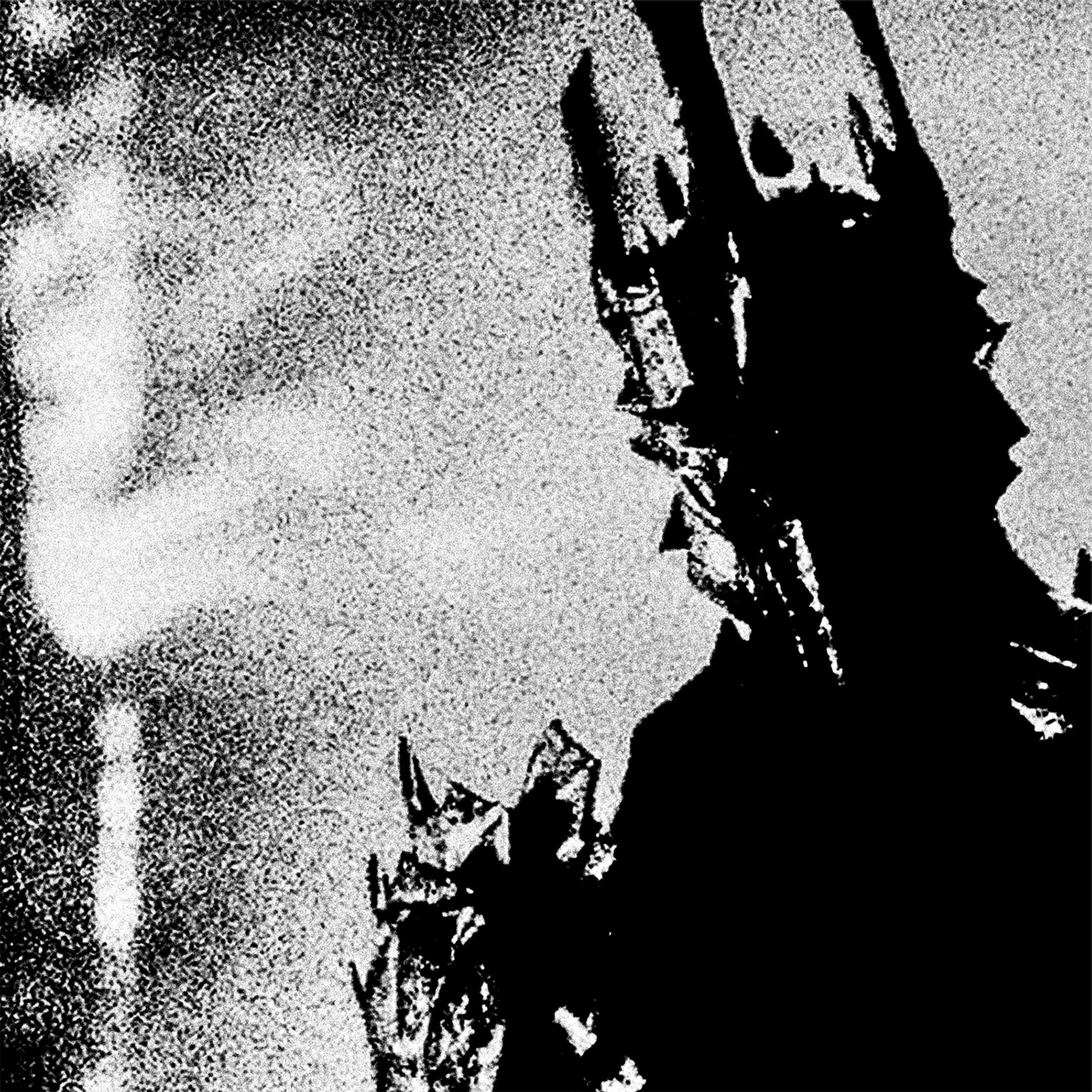Album cover of CHIMERA