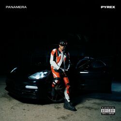 Cover of PANAMERA