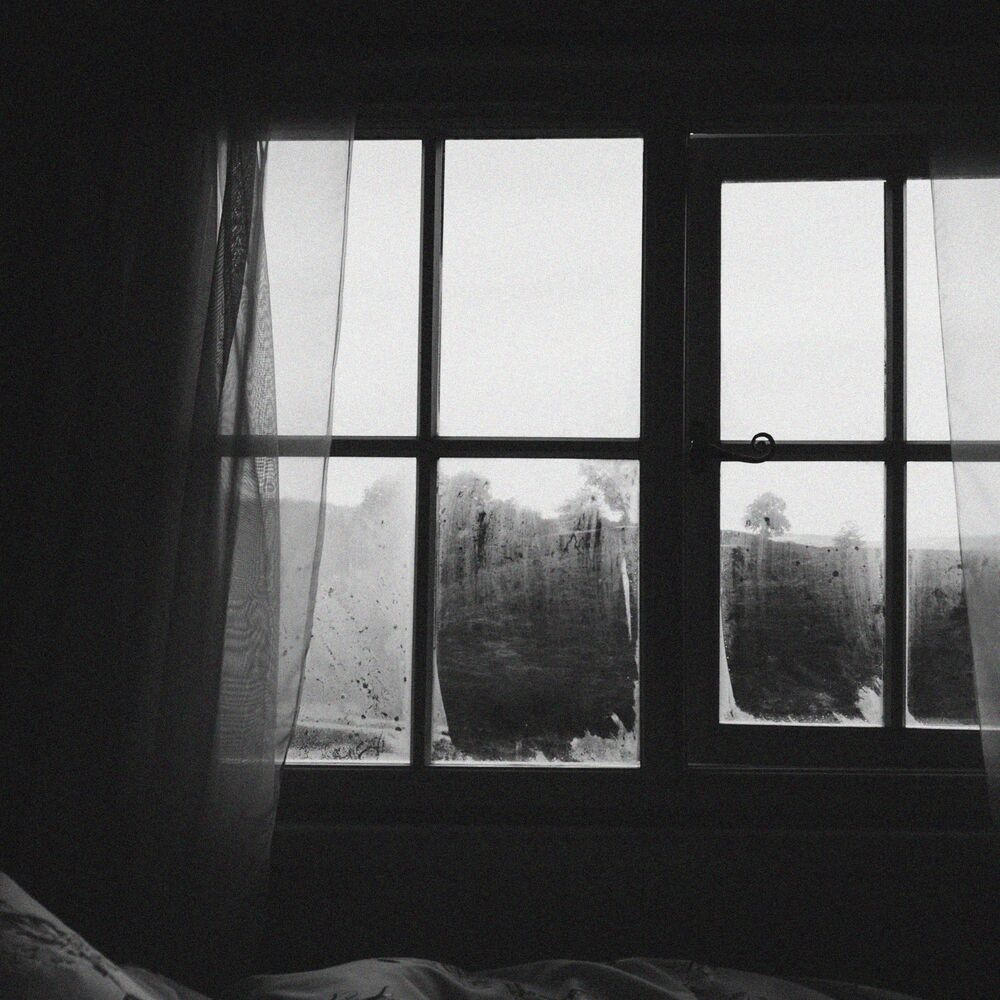 Picture of Through the Looking Glass