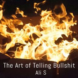 Cover of The Art of Telling Bullshit
