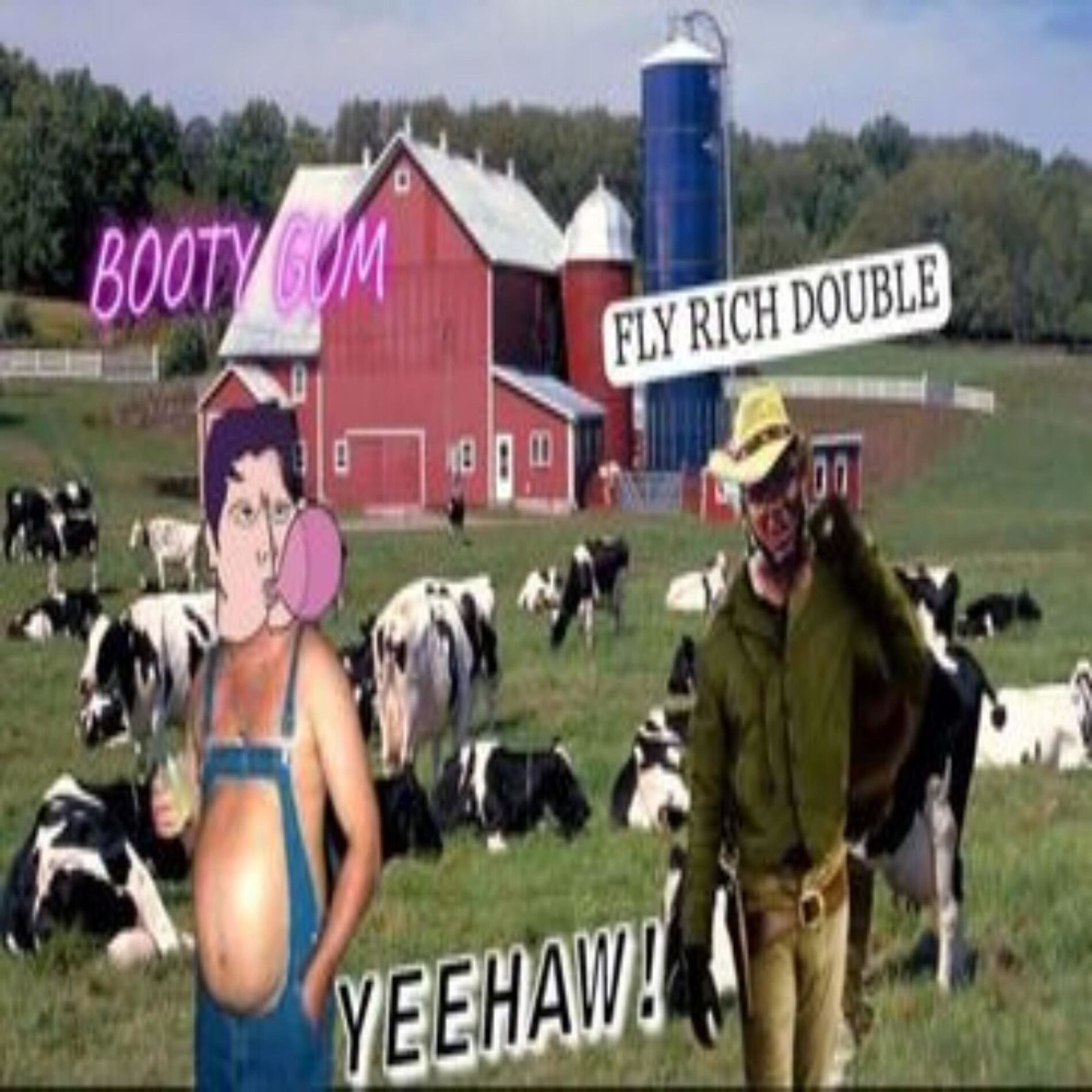 Album cover of Yeehaw!