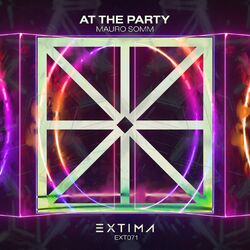 Cover of At The Party