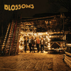 Cover of Blossoms