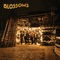 Charlemagne by Blossoms album cover