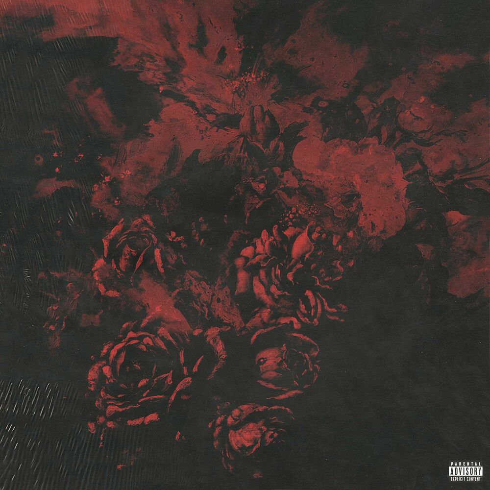 Picture of Roses from the Crack