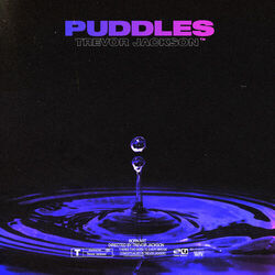 Cover of Puddles