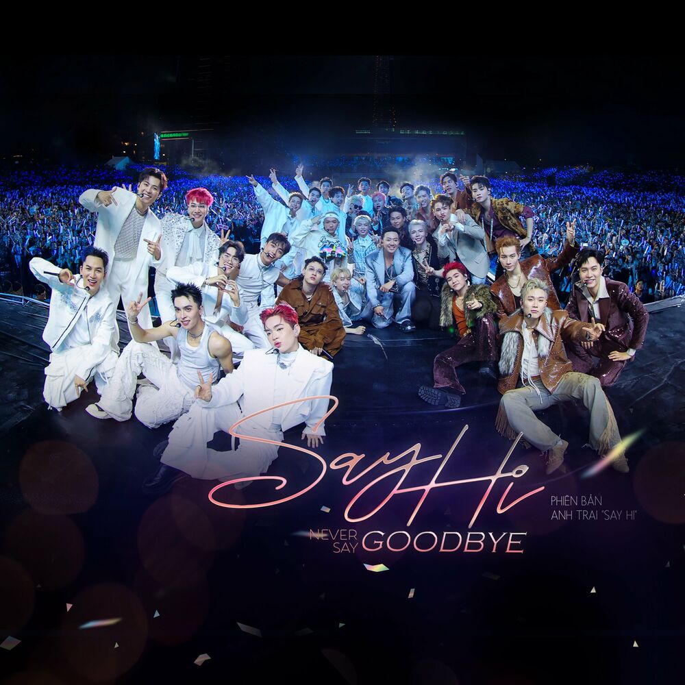 Picture of SAY HI NEVER SAY GOODBYE
