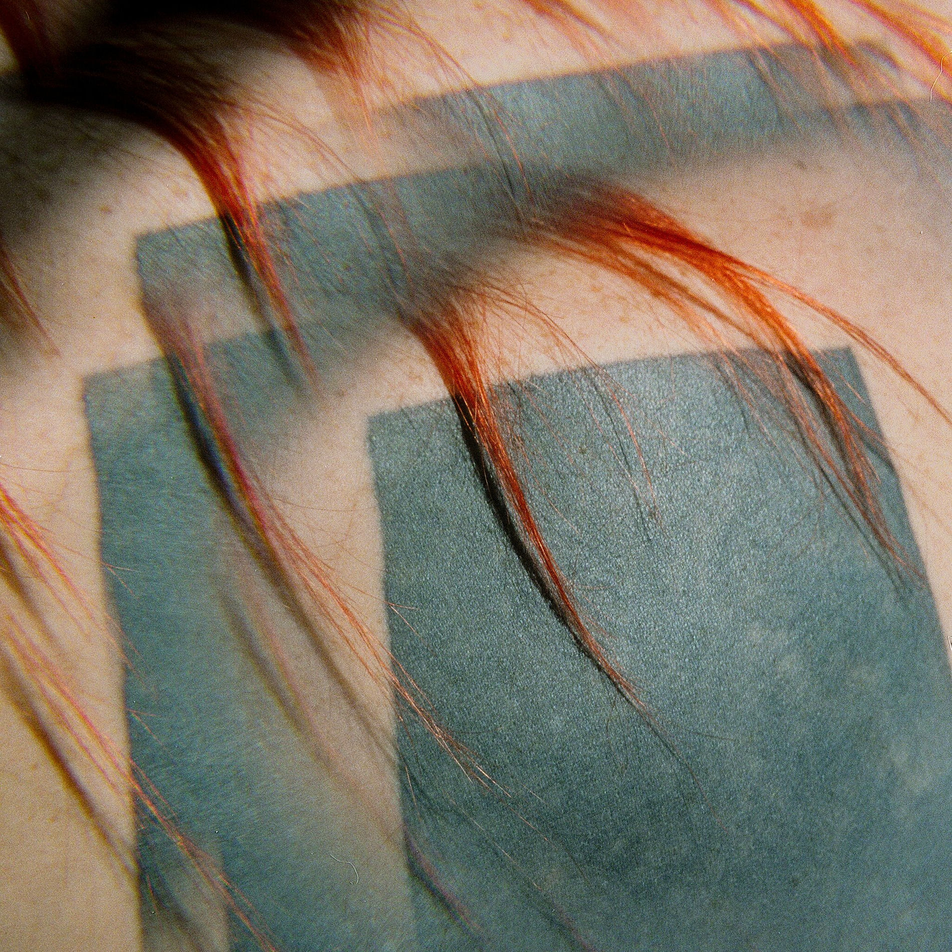 Album cover of Settle & Fly / O(O)O