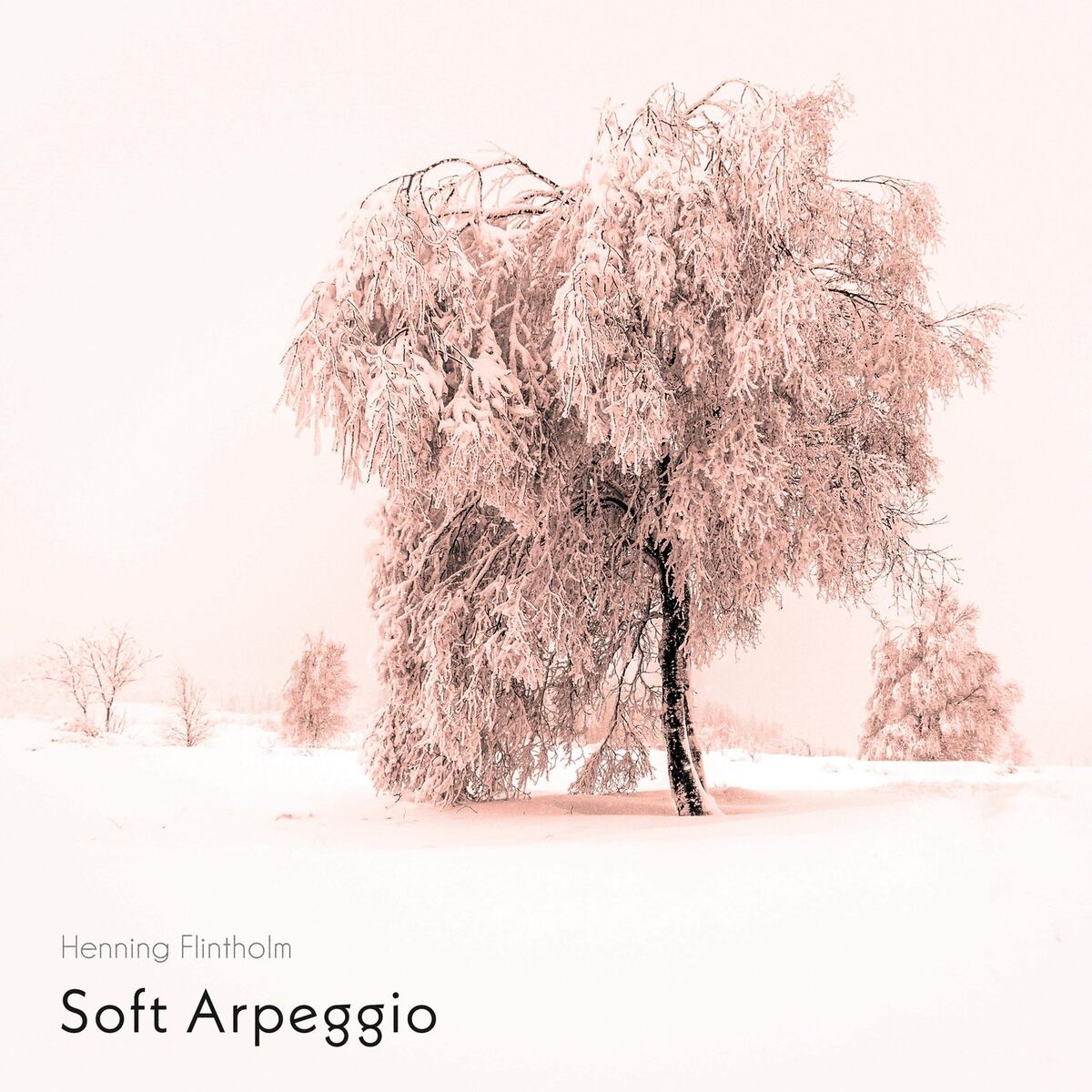 Album cover of Soft Arpeggio