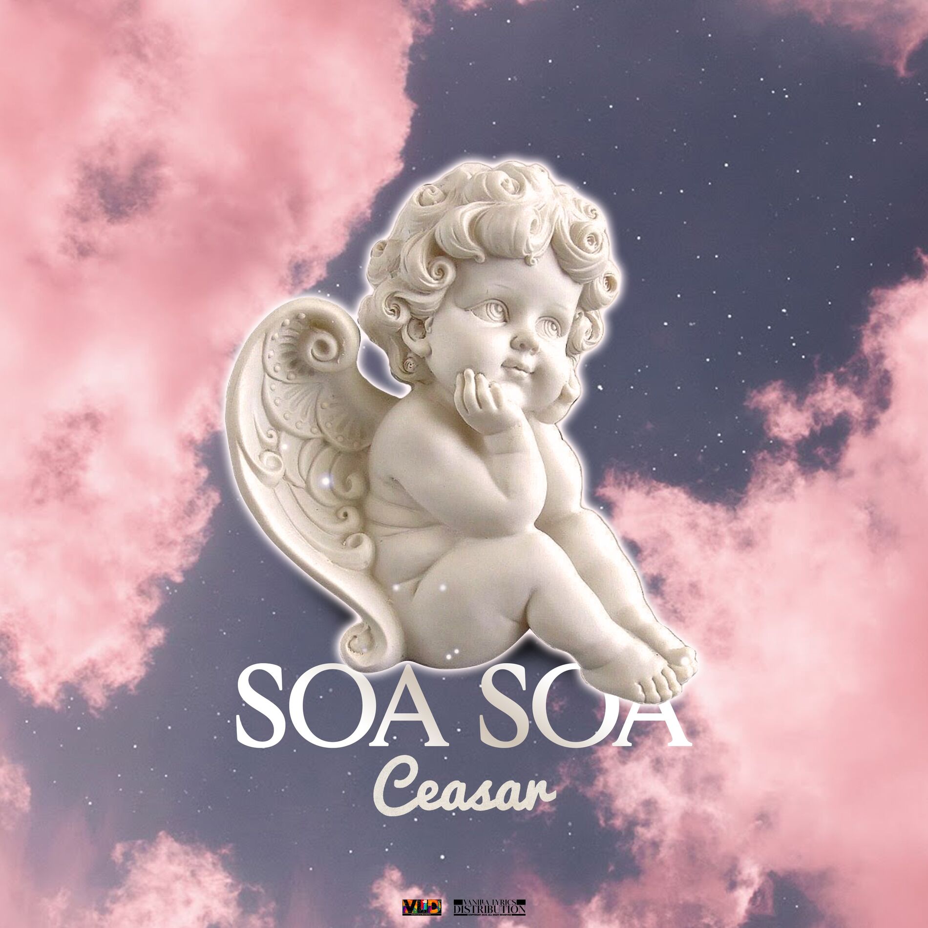 Album cover of Soa Soa