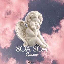 Cover of Soa Soa