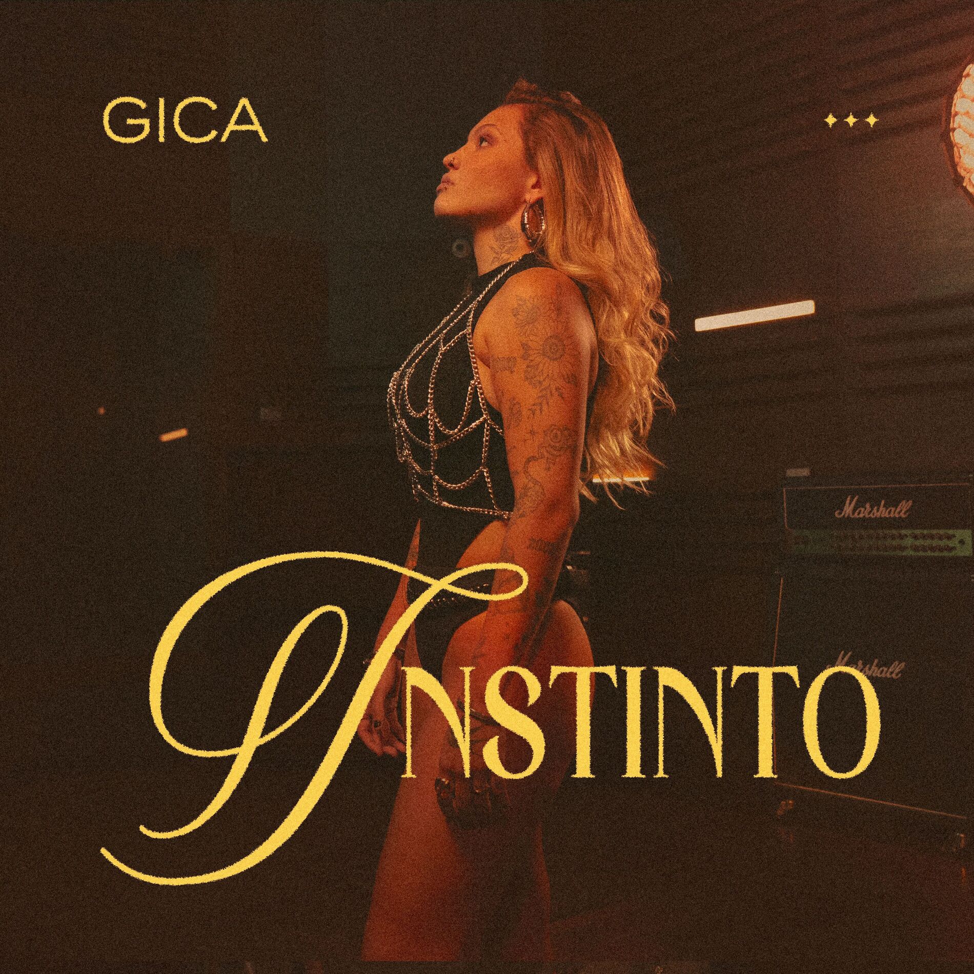 Album cover of Instinto