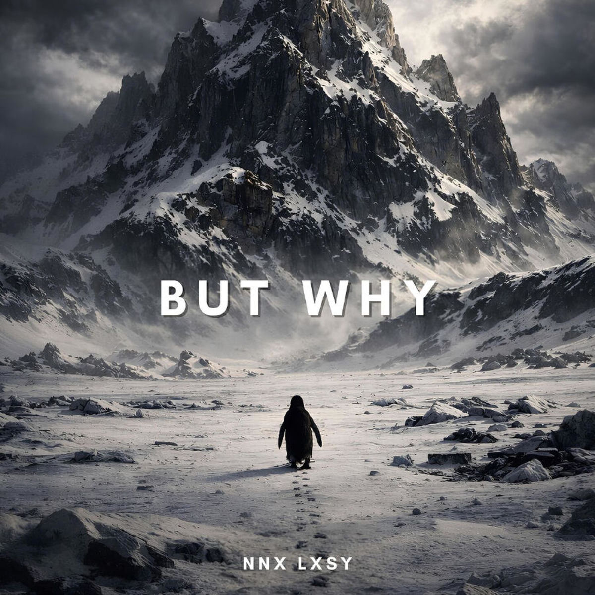 Album cover of But Why