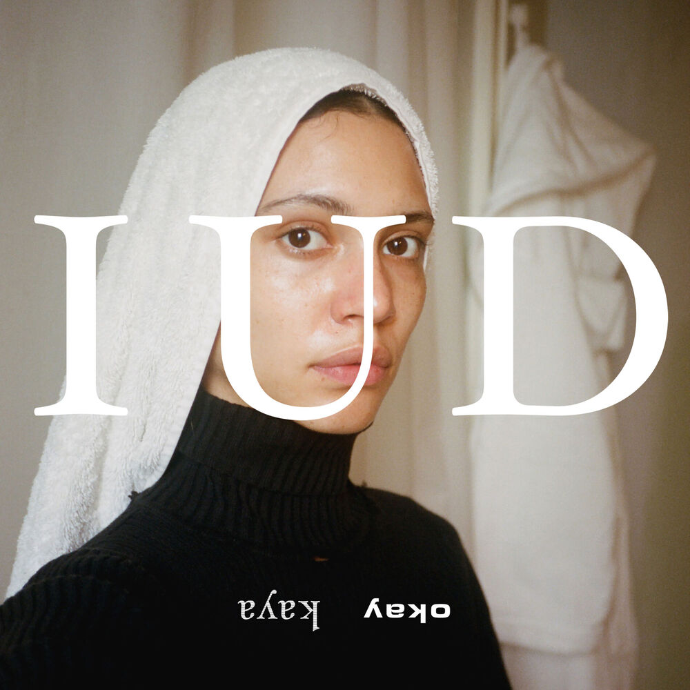 Picture of IUD