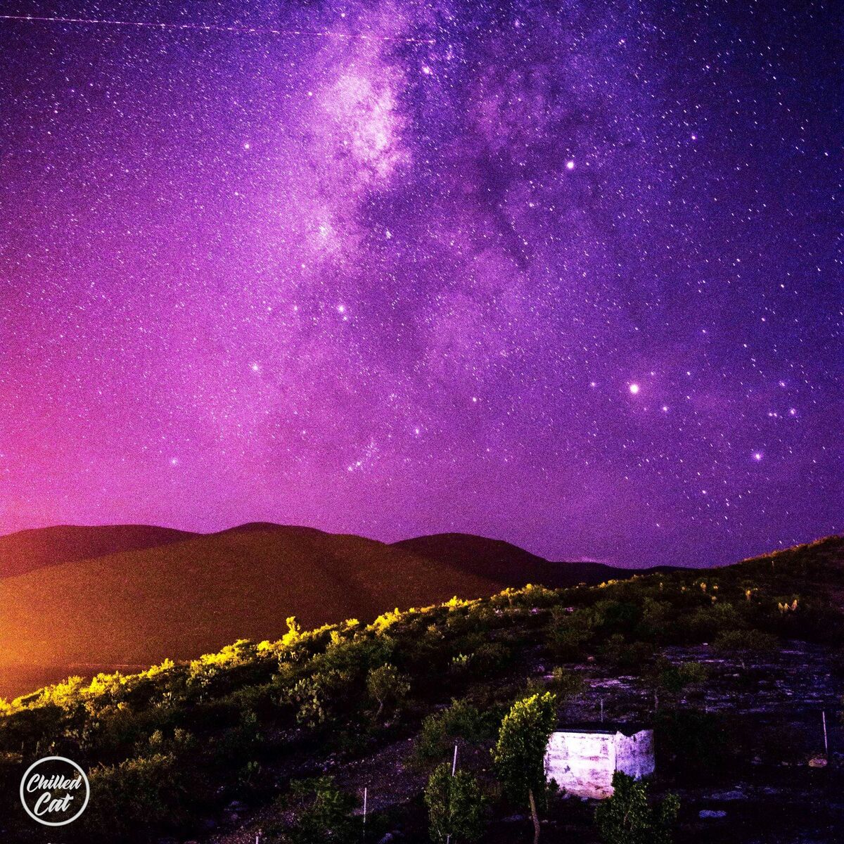 Album cover of Stargazing