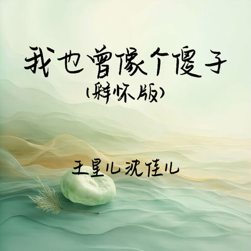 我也曾像个傻子 (释怀版)