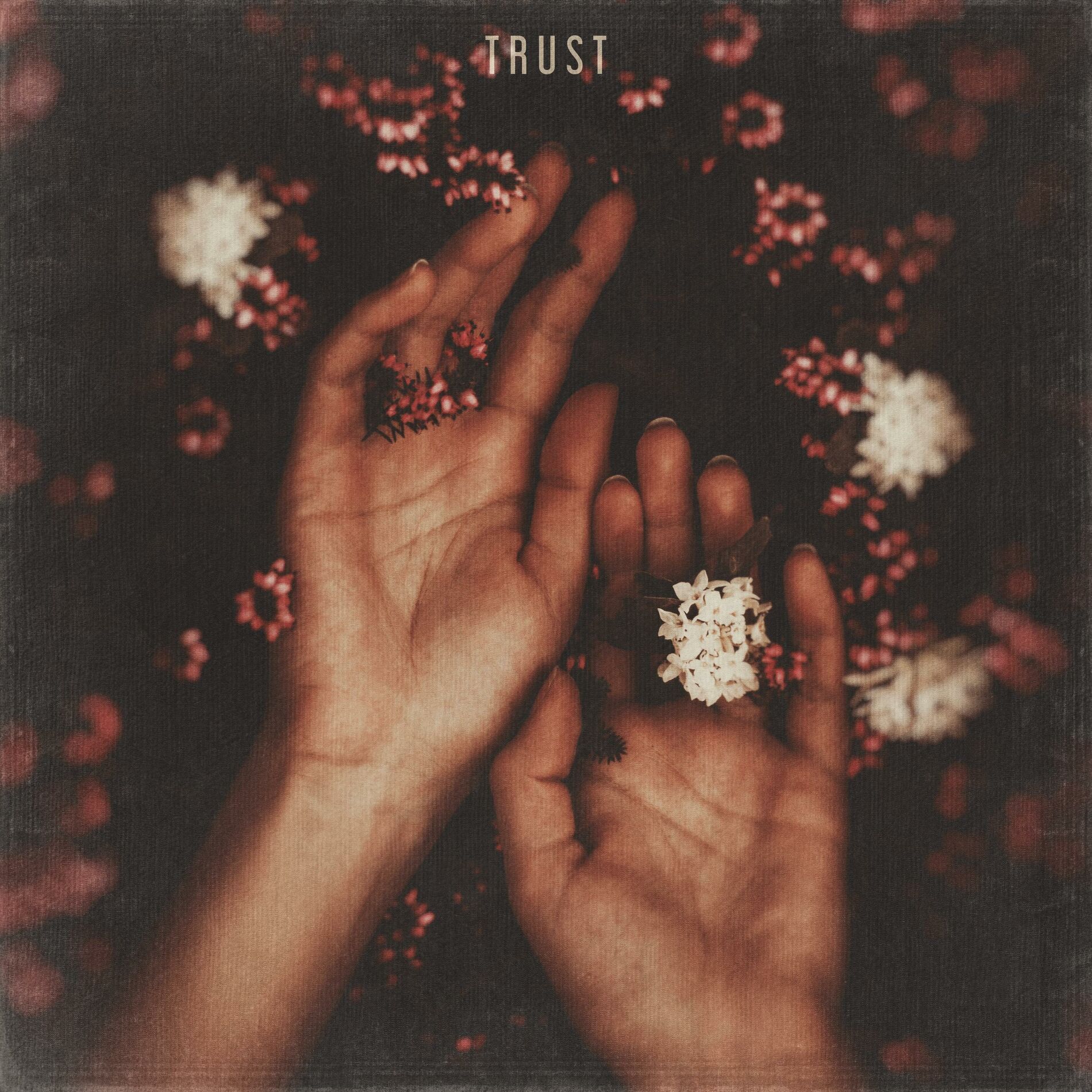 Album cover of Trust