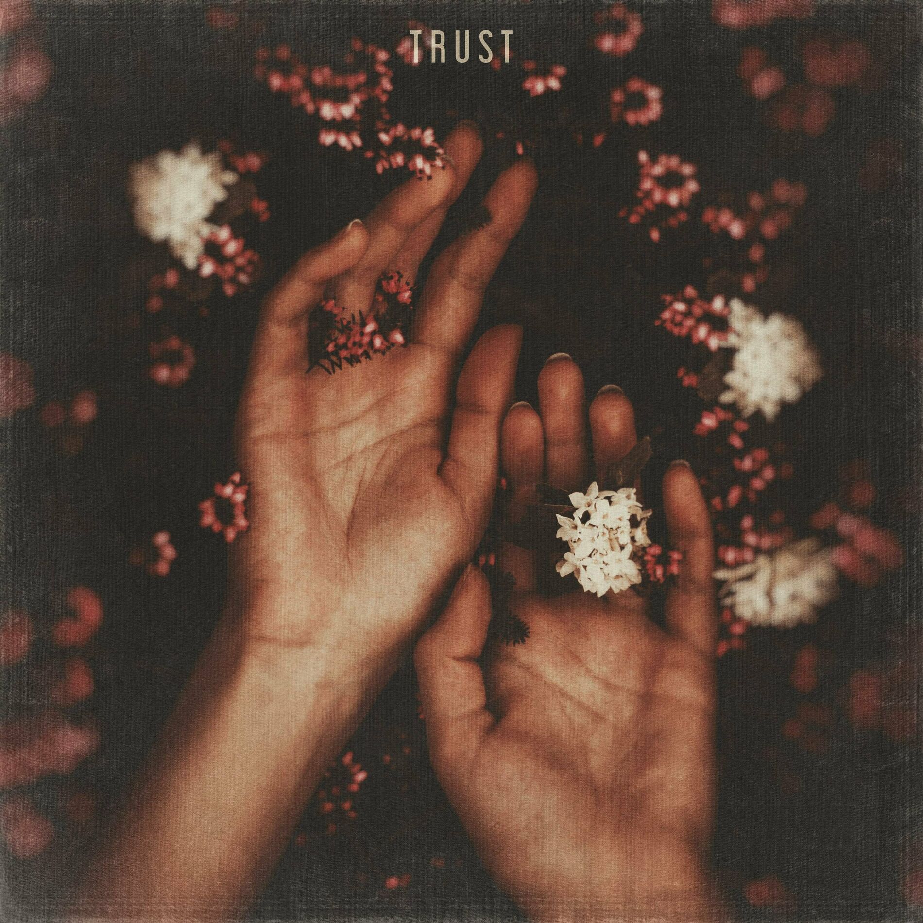 Album cover of Trust