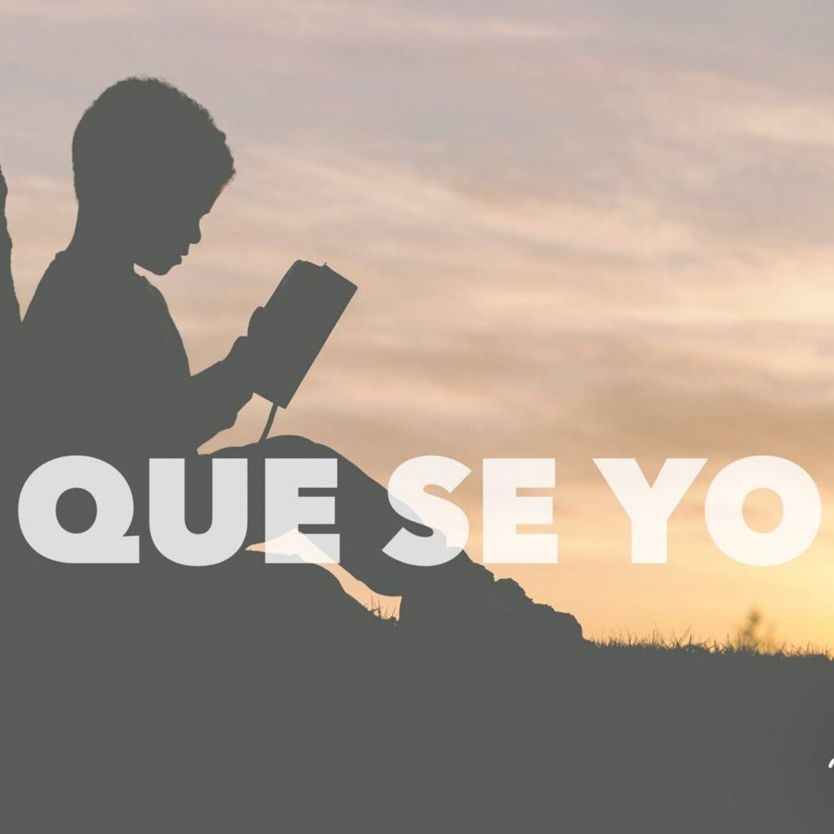 Album picture of Que Se Yo