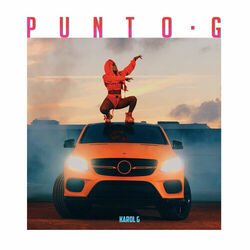 Cover of Punto G