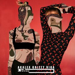 Cover of Fever