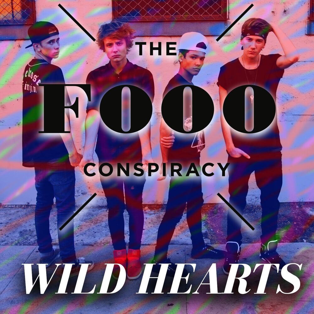 Picture of Wild Hearts (US Version)