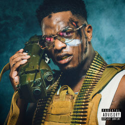 Cover of Commando