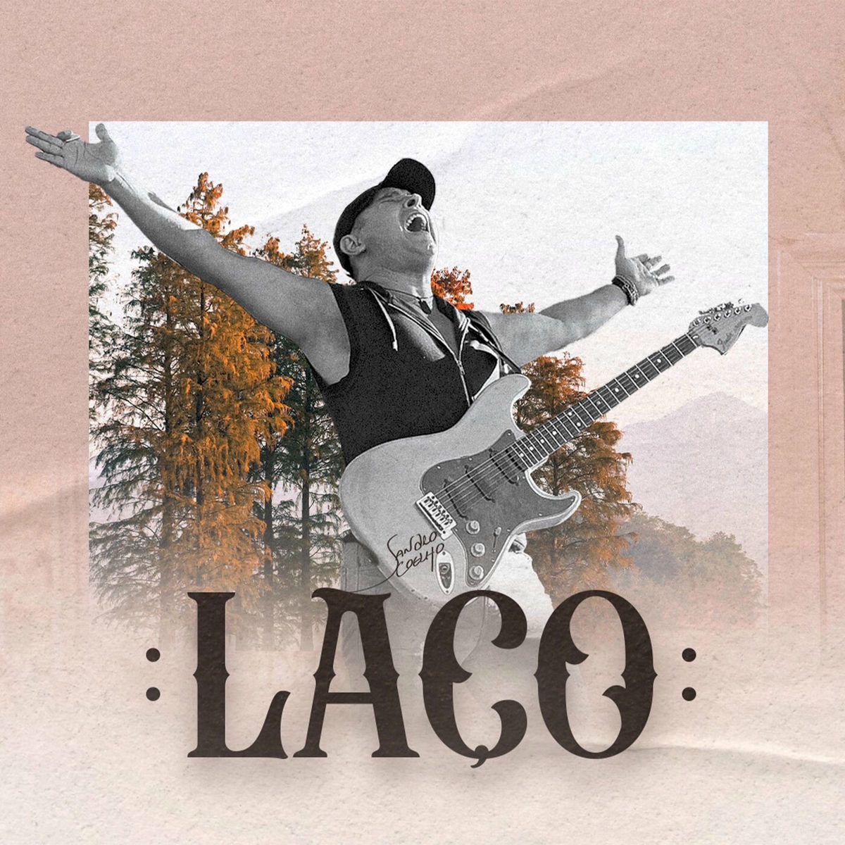 Album cover of Laço