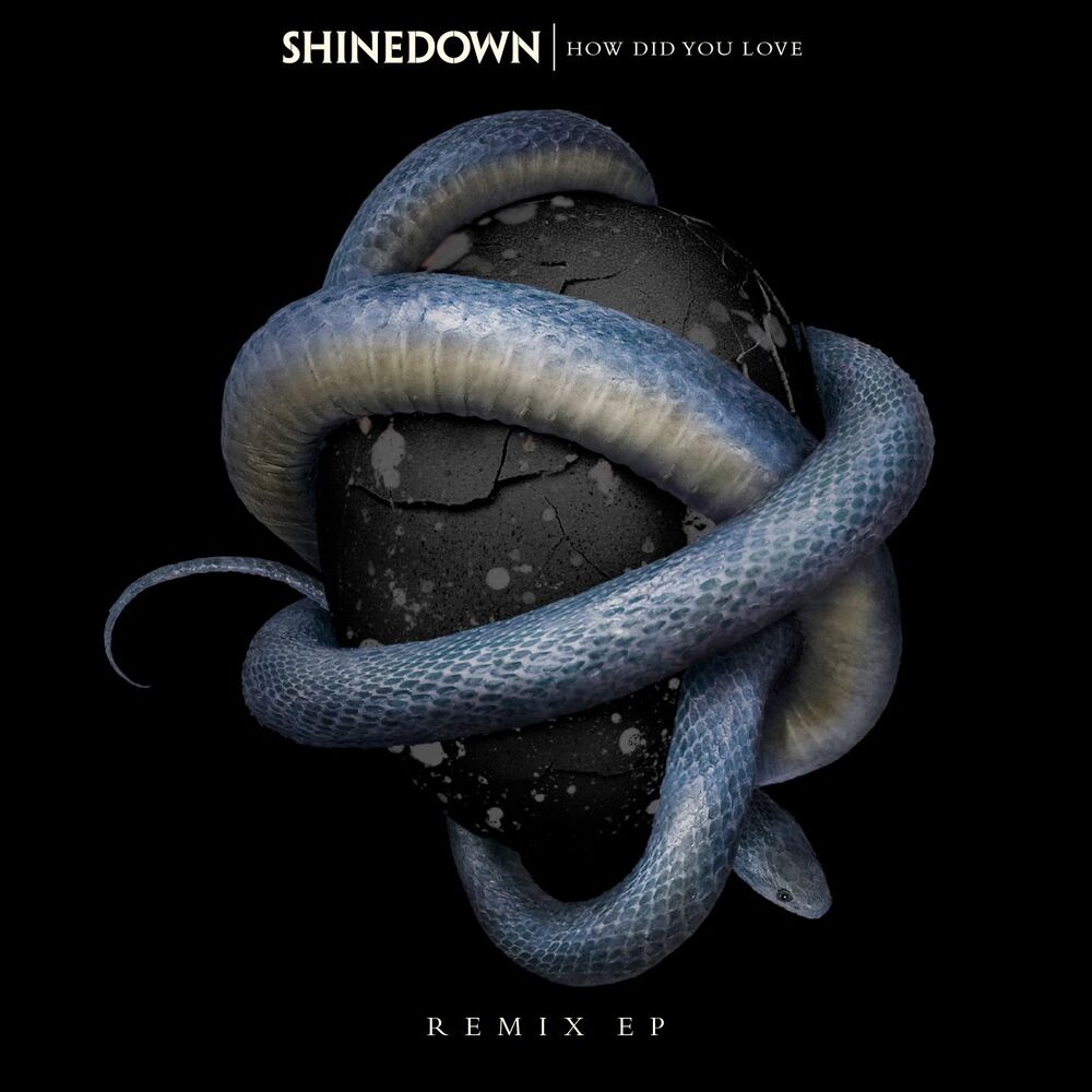 Picture of How Did You Love (Remixes)