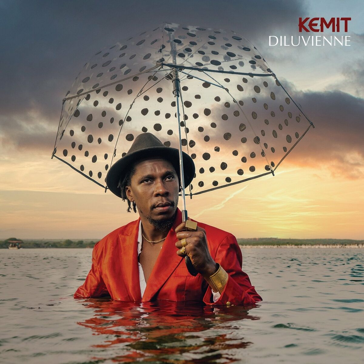 Album cover of Diluvienne